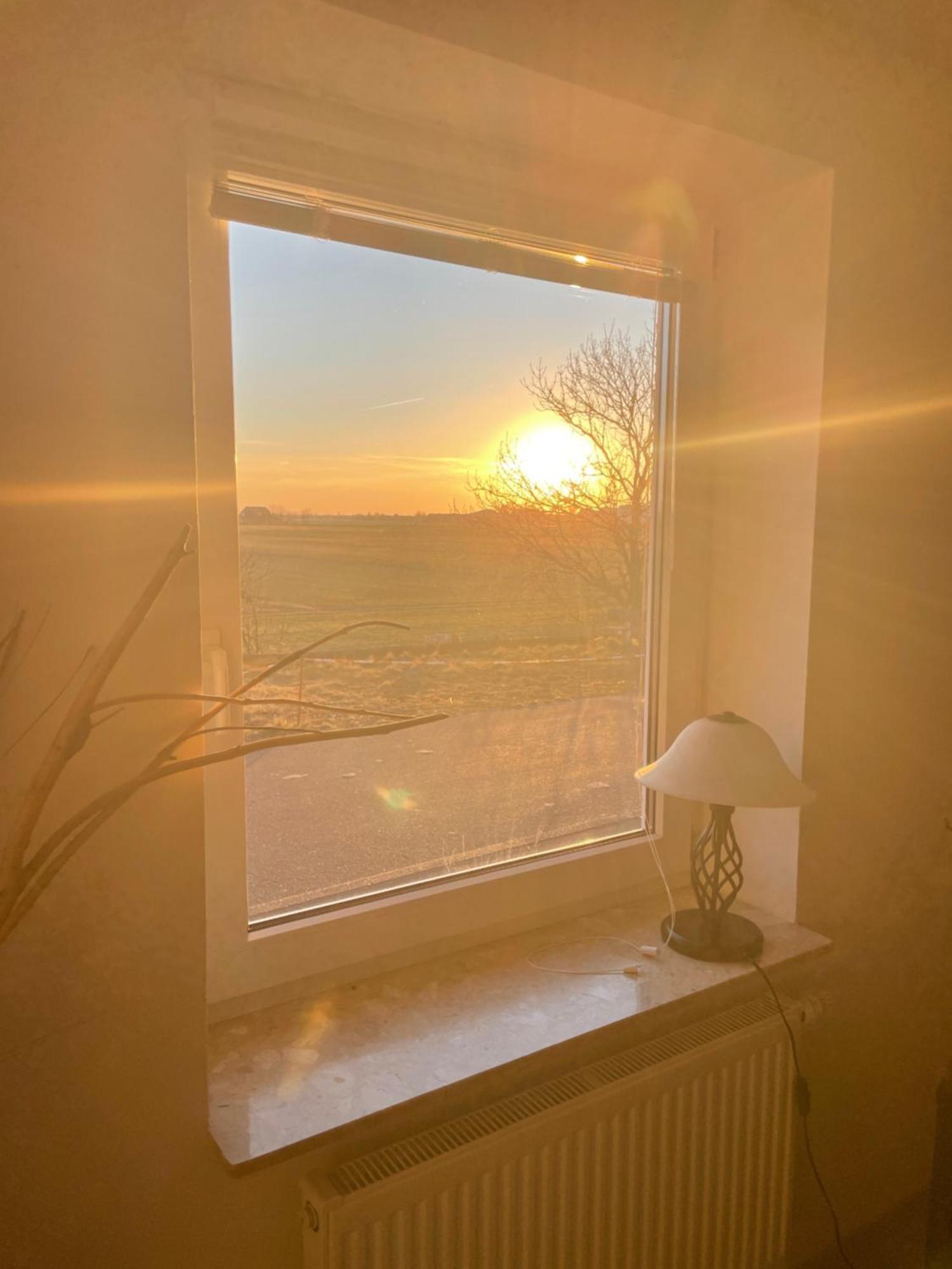 Ferienwohnung Watt'N Deich Nordstrand Bagian luar foto